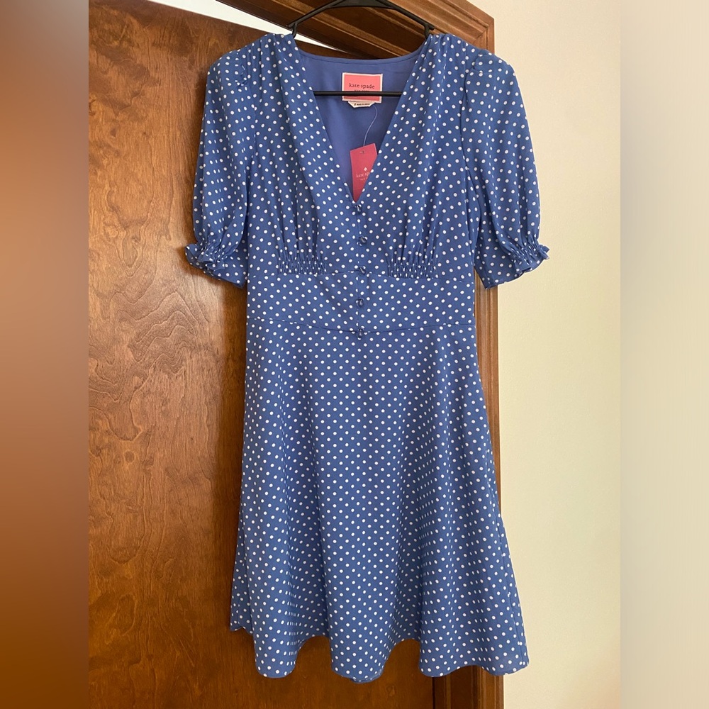 Kate Spade Cornflower Blue Tea Garden Toss Dress
